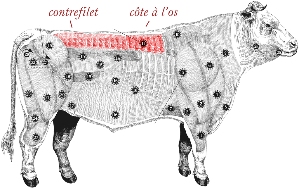 Rundsvlees - koe afbeelding (meatmap)