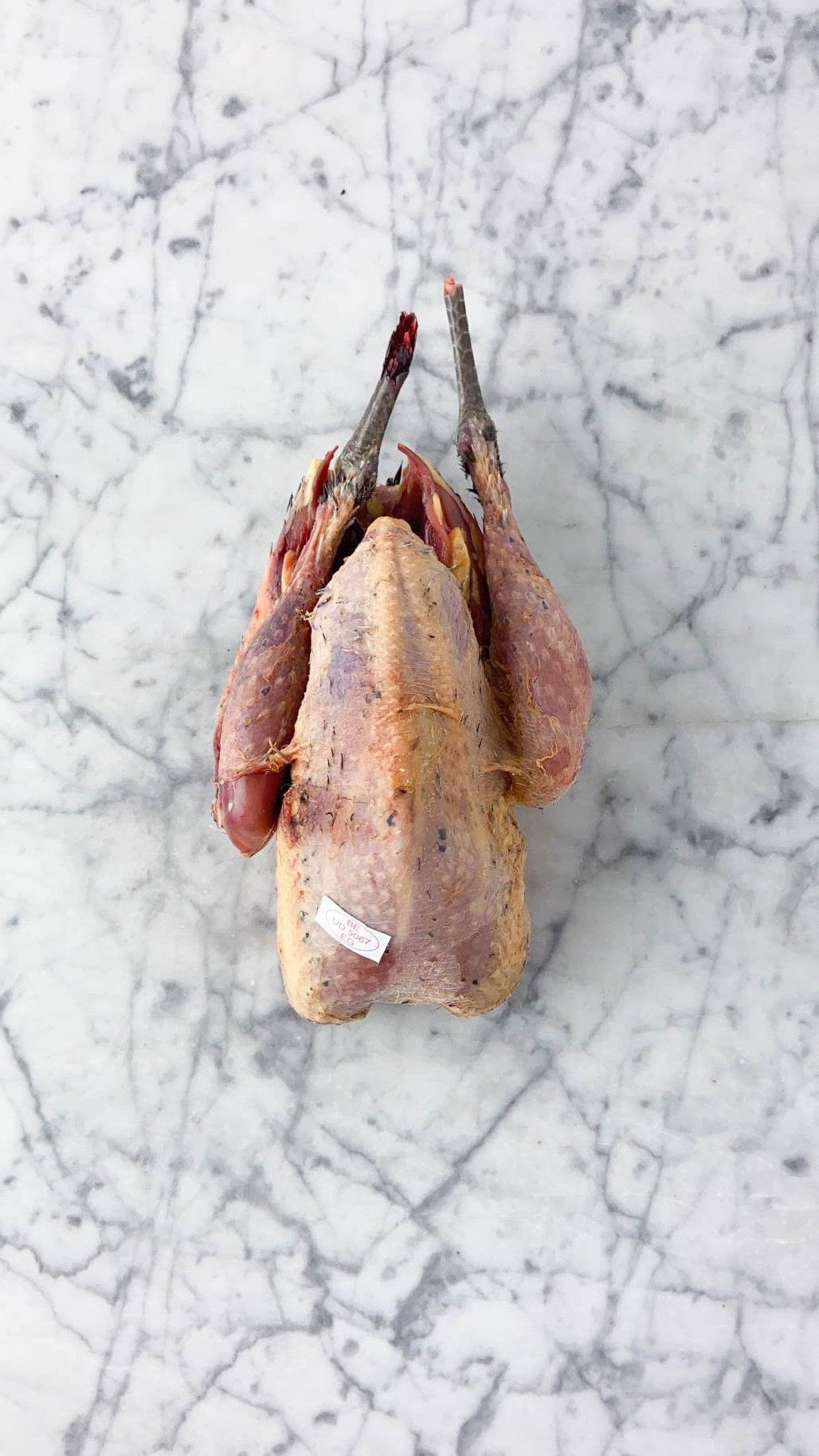 Coq faisan